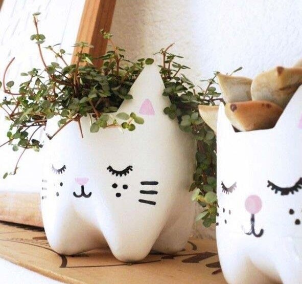 boyanmış pet şişe
